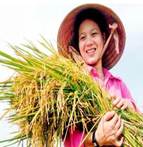 Đề thi TA lớp 4 kì 2